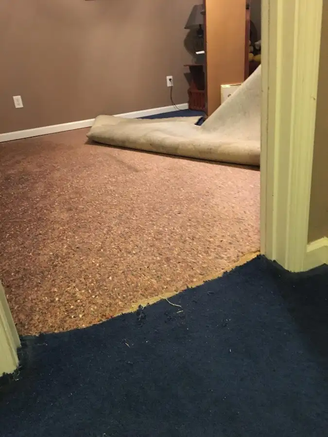 Carpet pad removal revealing water damage during Drying & Dehumidification in Middleton