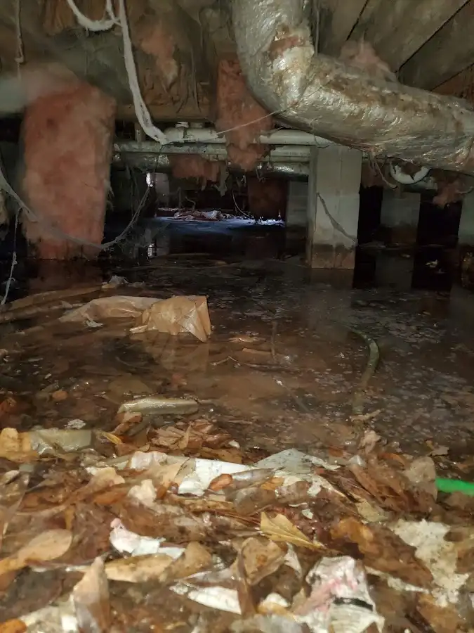 Crawl space flood assessment for Leak Detection & Repair in Middleton