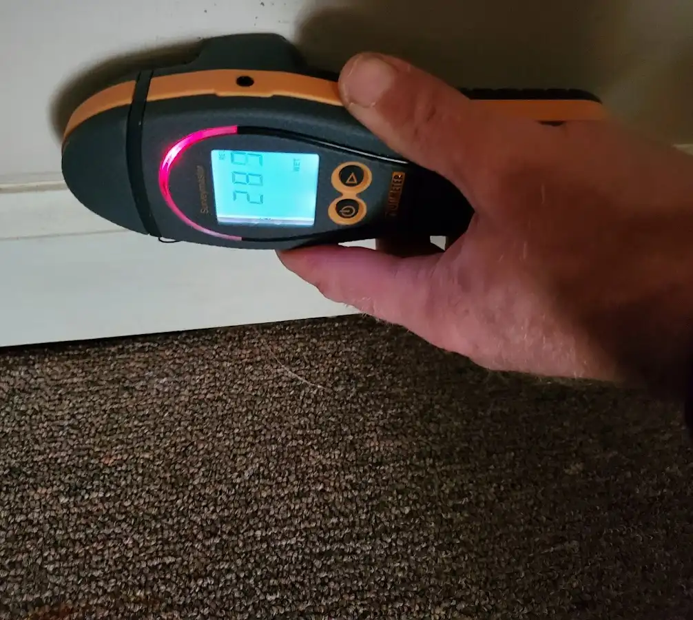 Moisture detection at baseboard during Sewage Cleanup & Sanitation in Middleton
